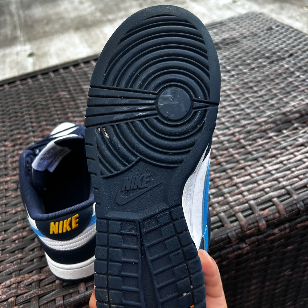 Nike dunks